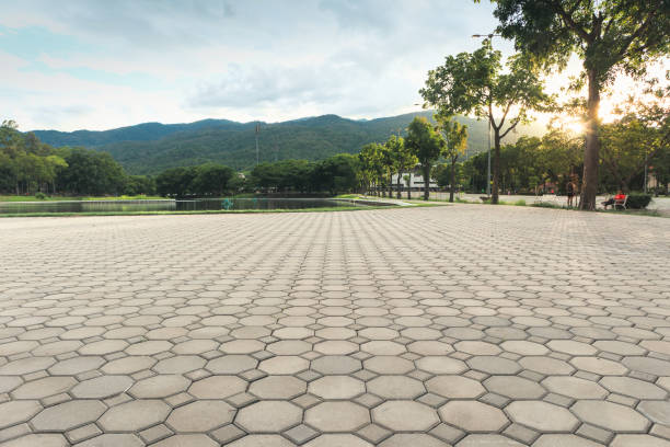 Best Driveway Paver Repair  in Hamlin, WV